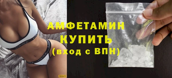 крисы Ростов