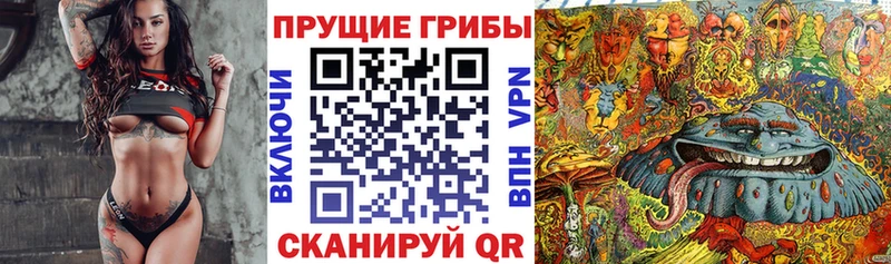 кракен рабочий сайт  Луховицы  Псилоцибиновые грибы GOLDEN TEACHER 